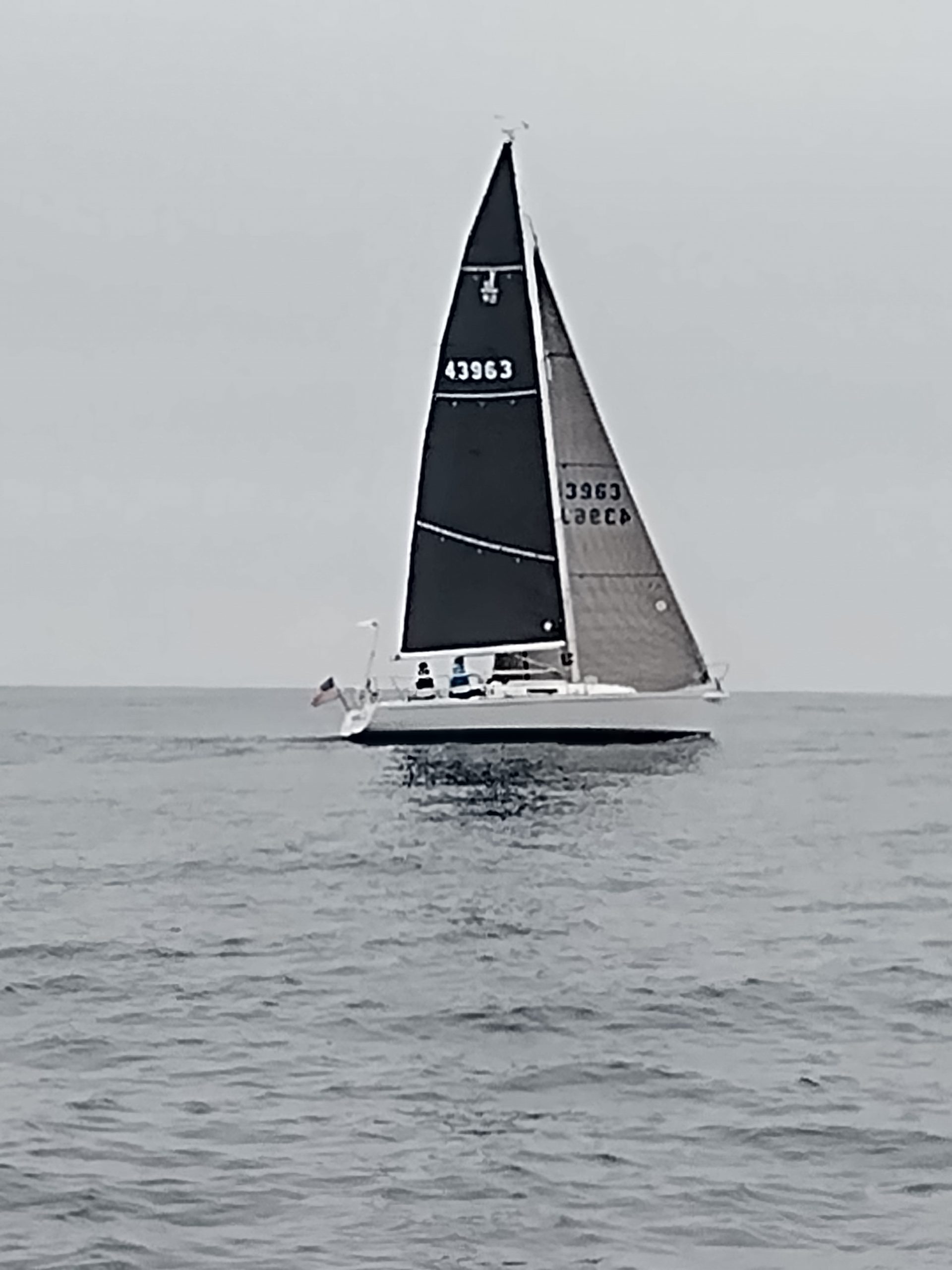 Crew Of 2 Coronado Islands Race Point Loma Yacht Club